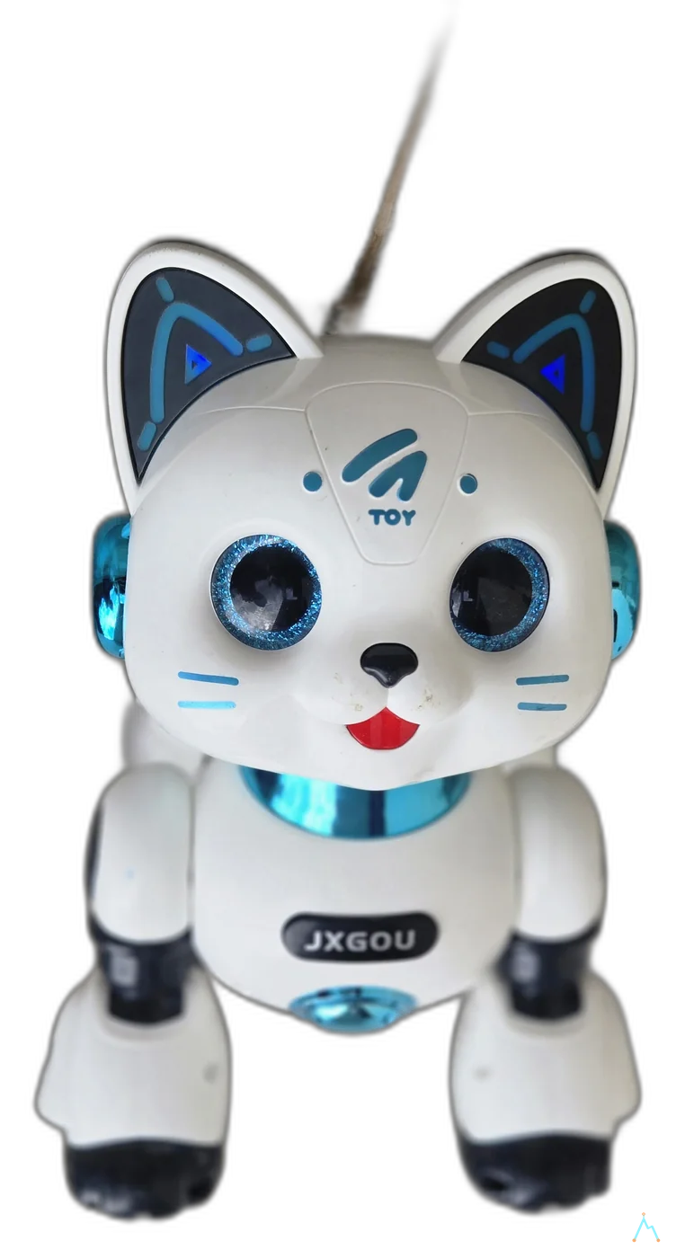 Echo